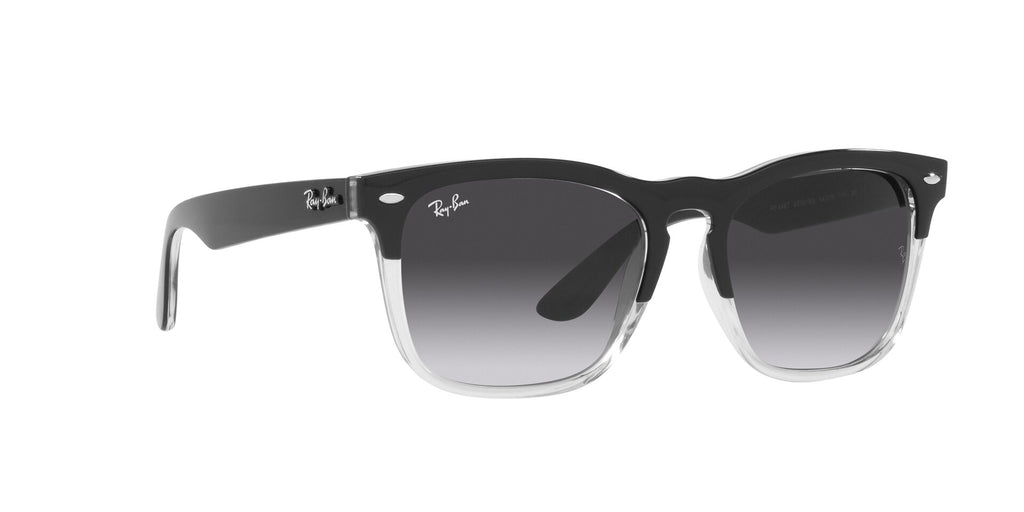 Black Full Rim Square Sunglasses (0RB448766308G54)