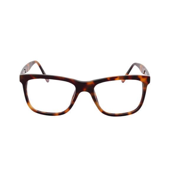 Brown Full Rim Aviator Eyeglasses 1350 1782